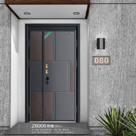 轻奢安全门系列Z6006欧维