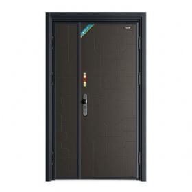轻奢安全门系列Z6007欧淳