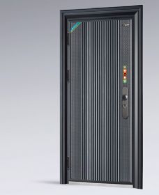 轻奢安全门系列K6016欧威