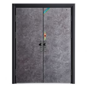轻奢安全门系列D8051水调歌头
