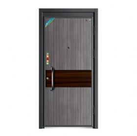 轻奢安全门系列D8056欧豪