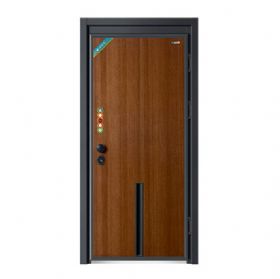 轻奢安全门系列D8058欧立