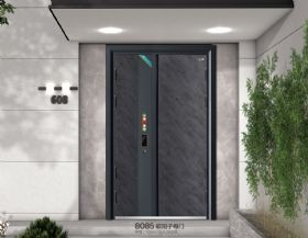 轻奢安全门系列轻奢安全门-011